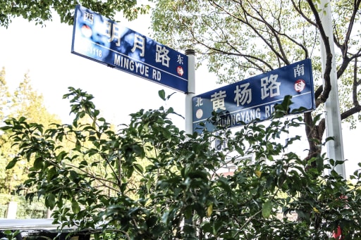 How to Prepare for Your Shanghai Look-See Trip