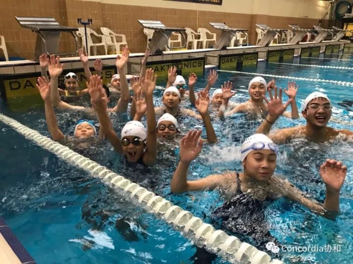 swim-team-concordia-shanghai-international